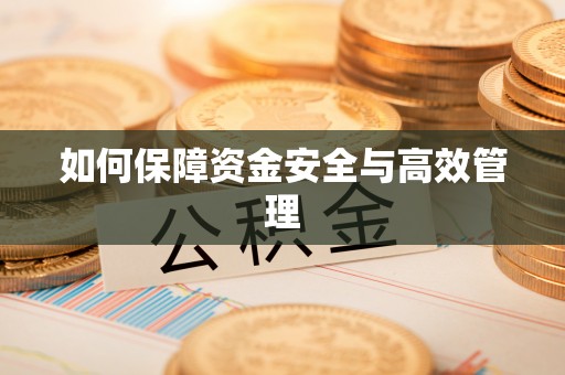 兴海如何保障资金安全与高效管理