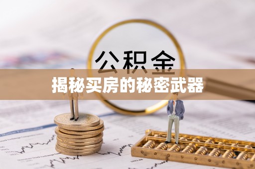 兴海揭秘买房的秘密武器