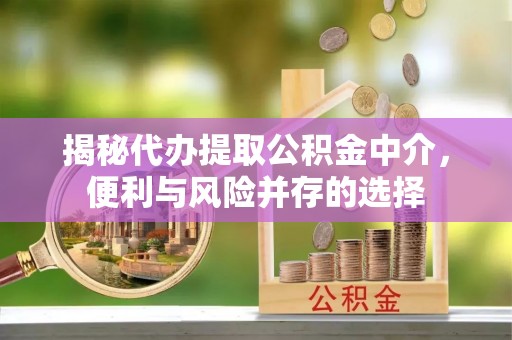 兴海揭秘代办提取公积金中介，便利与风险并存的选择