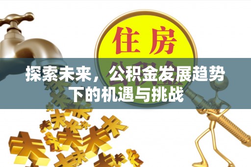 兴海探索未来，公积金发展趋势下的机遇与挑战