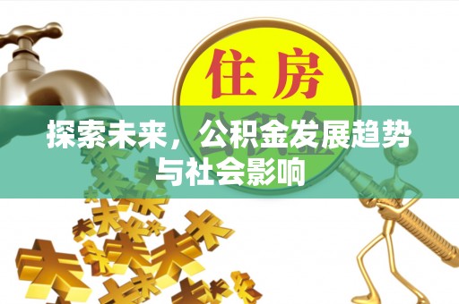 兴海探索未来，公积金发展趋势与社会影响