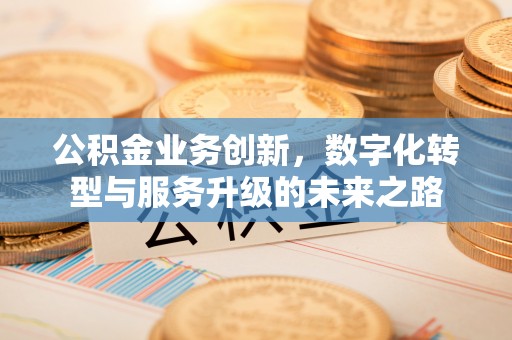兴海公积金业务创新，数字化转型与服务升级的未来之路
