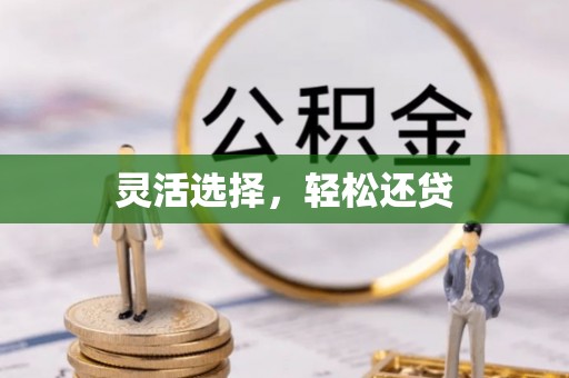 兴海灵活选择，轻松还贷