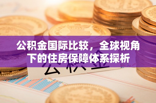 兴海公积金国际比较，全球视角下的住房保障体系探析