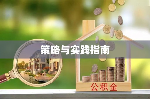 兴海策略与实践指南