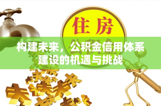 兴海构建未来，公积金信用体系建设的机遇与挑战