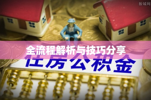 兴海全流程解析与技巧分享
